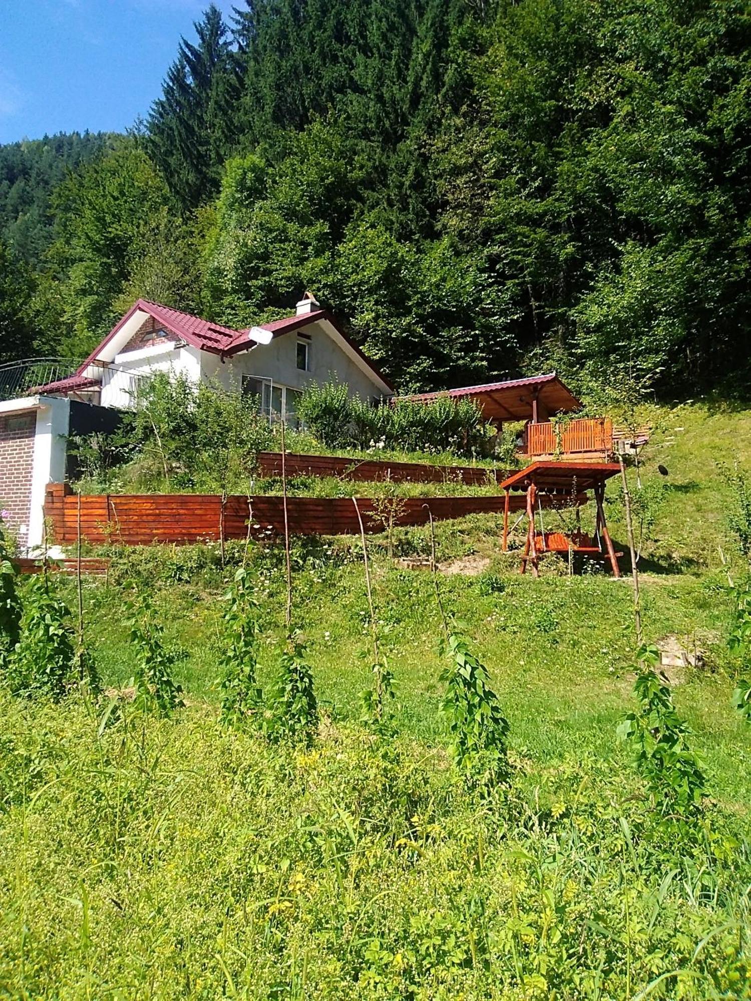 Casa Ozon Hotell Vulcan  Exteriör bild